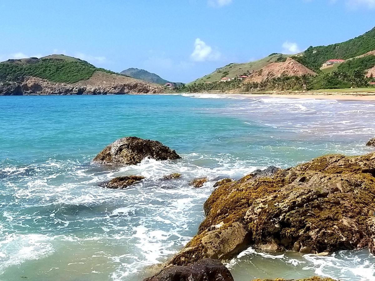 Studio 1 - Grande Anse - 4 Pers - Proche Bourg 테레-드-오트 외부 사진